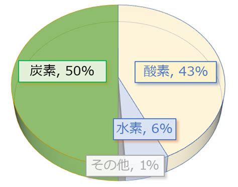 木 元素|木材化学